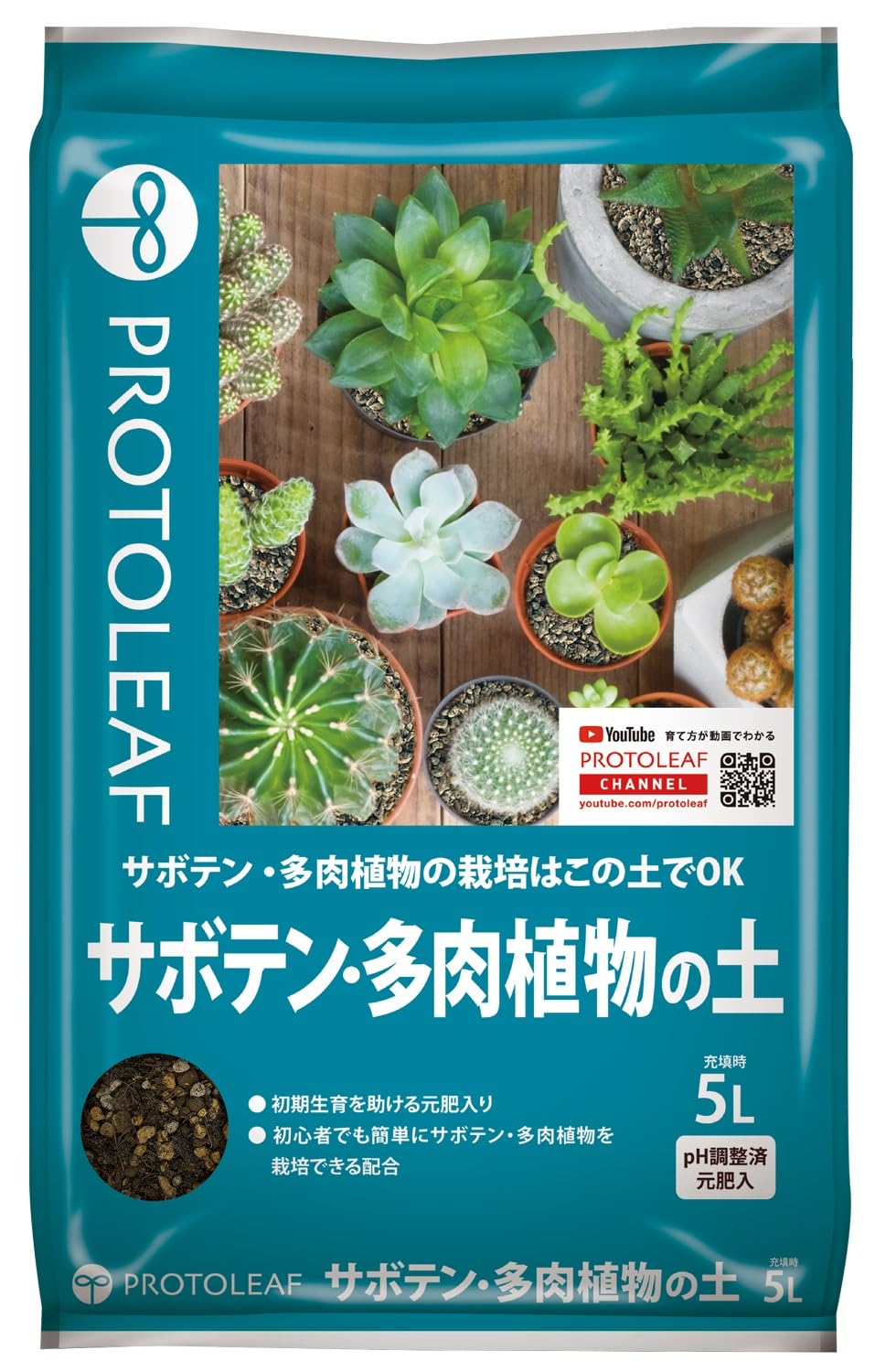 サボテン様 Amazon｜金鯱 キンシャチ ゴールデンバレルカクタス 玉サボテン
