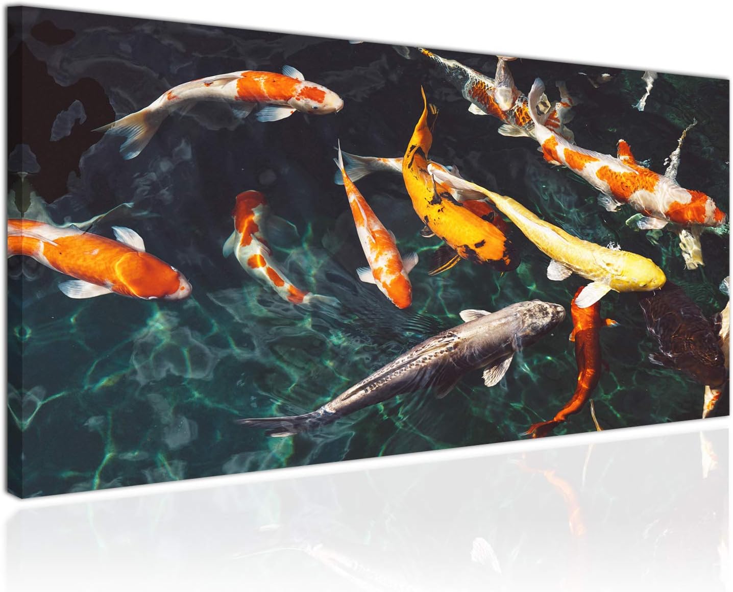 Topquadro XXL Canvas Print, 100x50cm (39.4 x 19.7 inch), Colorful Koi Fish - Pond, Japanese Garden - Wall Art, Panoramic Image - One Piece