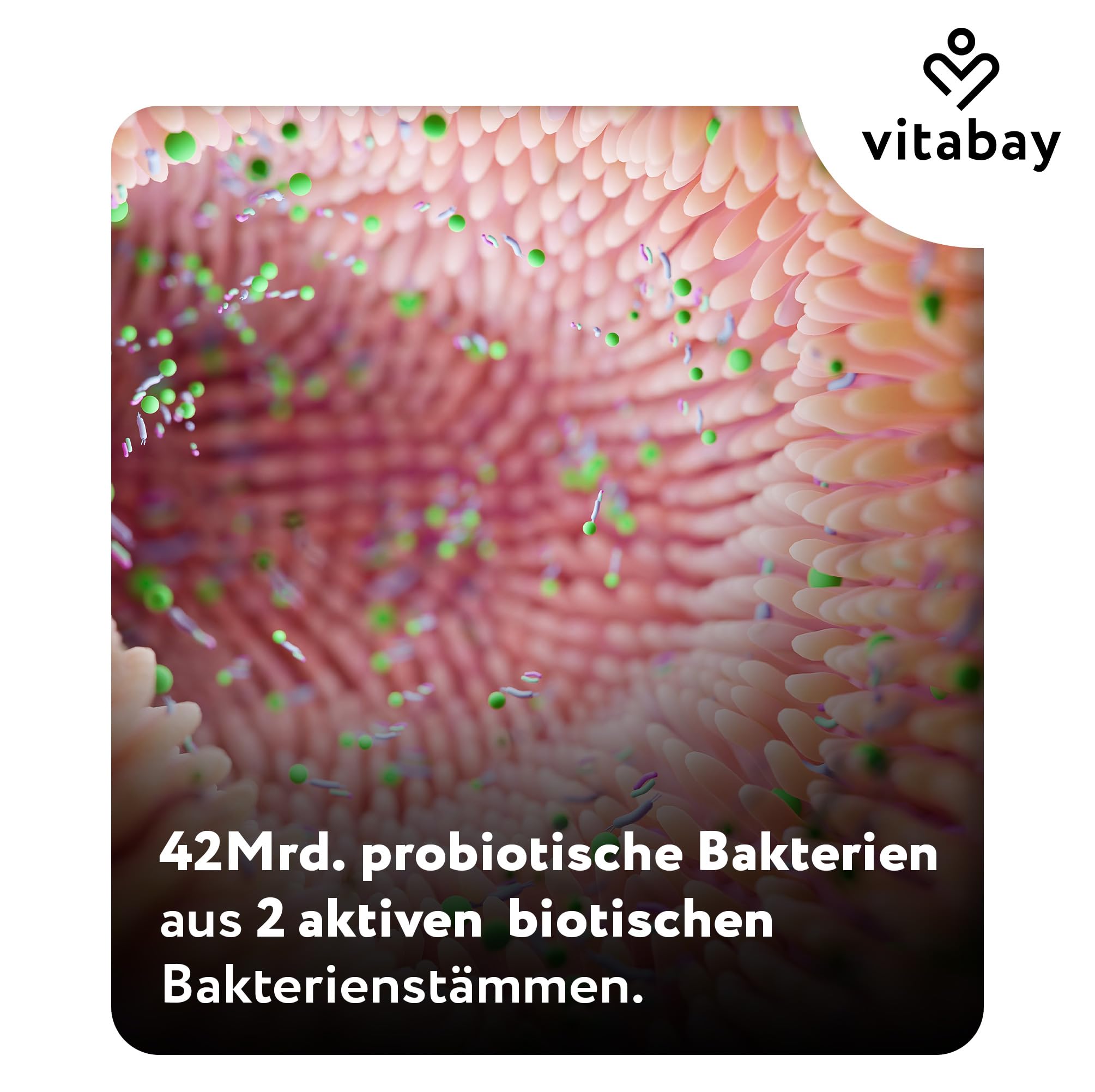 Vitabay Bifidyn – Bifidobakterien-Kulturen – 360 vegane Kapseln (3er Set)