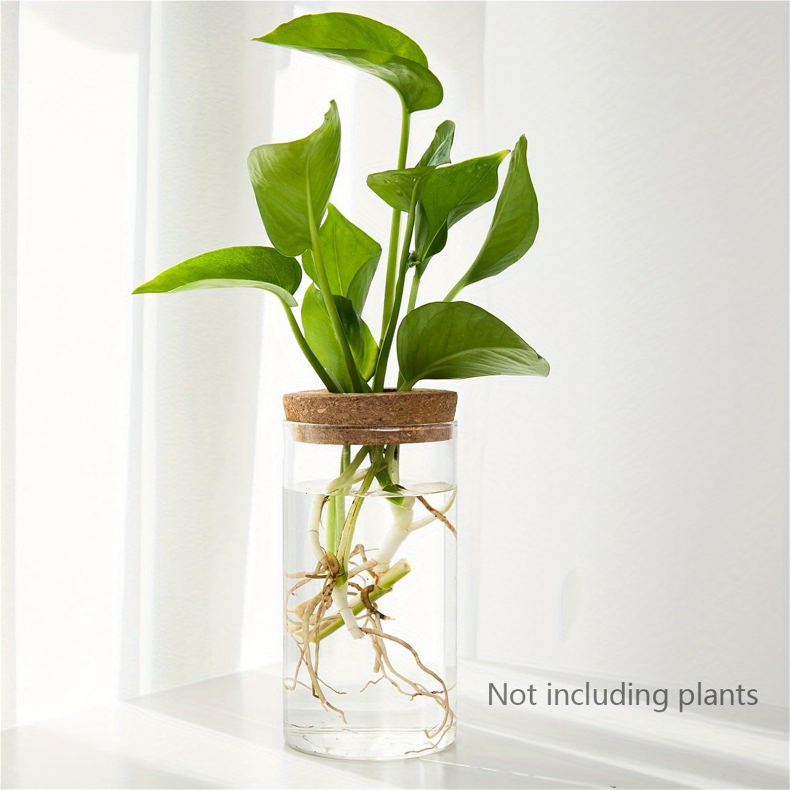 Vase Hydroponique Verre Verre Transparent hydroponique Vase1-2Home Bureau Plante Verte enracinement conteneur décoration Ornement(6.5X12CM 2PCS)