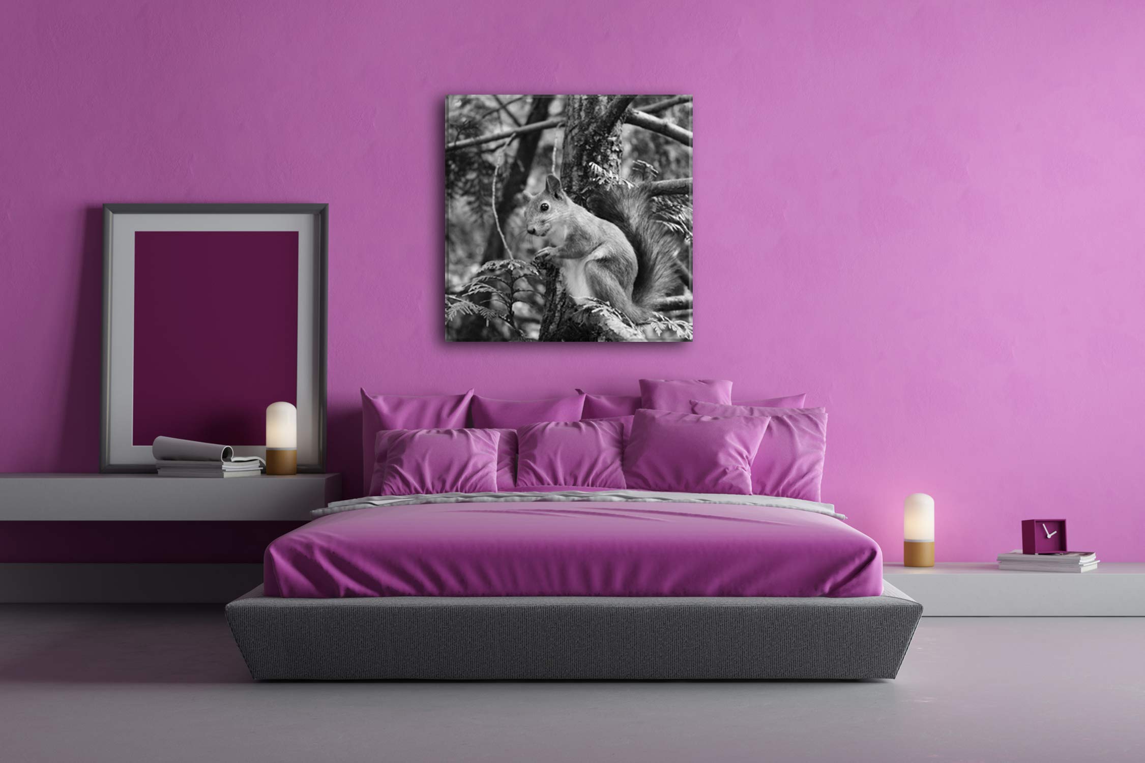 Joli Effet écureuil : Noir et Blanc comme Toile montée sur châssis en Bois véritable Impression numérique avec Cadre, Pas de Poster ou de Affiches, 40x40
