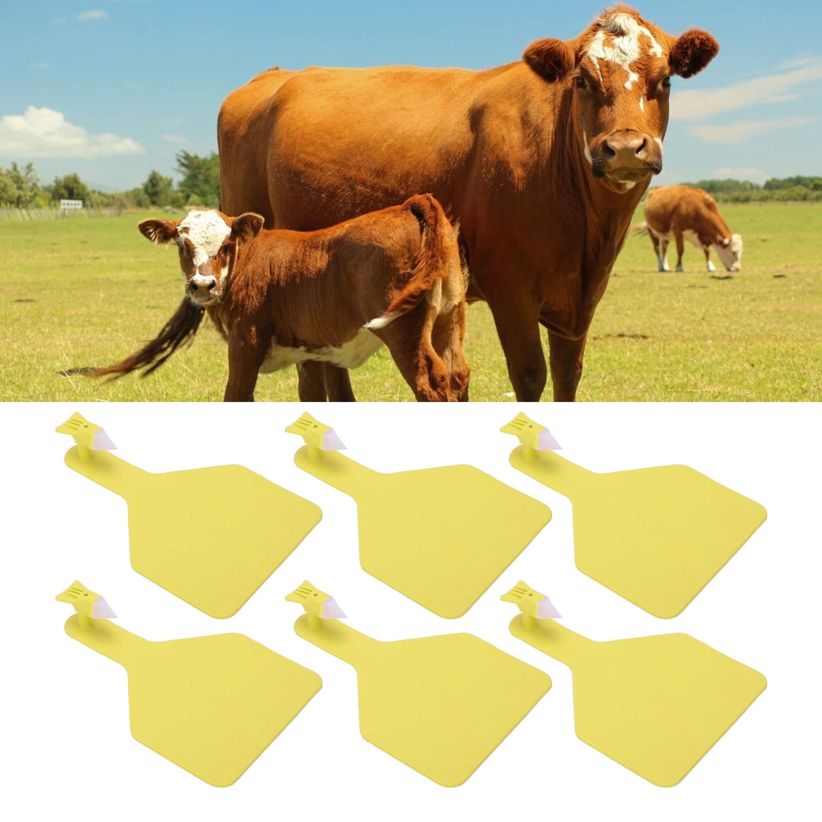 Yctze 100 Sztuk Ucha Bydlęcego Wielokrotnego Użytku, Pogrubione TPU Etykiety ze Zwierzętami dla Bydła, Jaków, Koni, łatwe do Napisania, Jasne Kolory dla Szybkiej Identyfikacji (YELLOW)