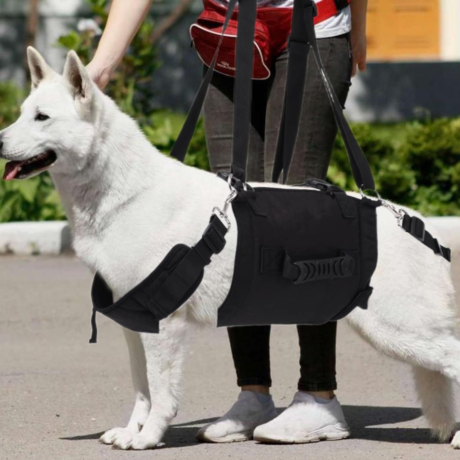 Pettorina per cani con manico, pettorina regolabile con maniglia