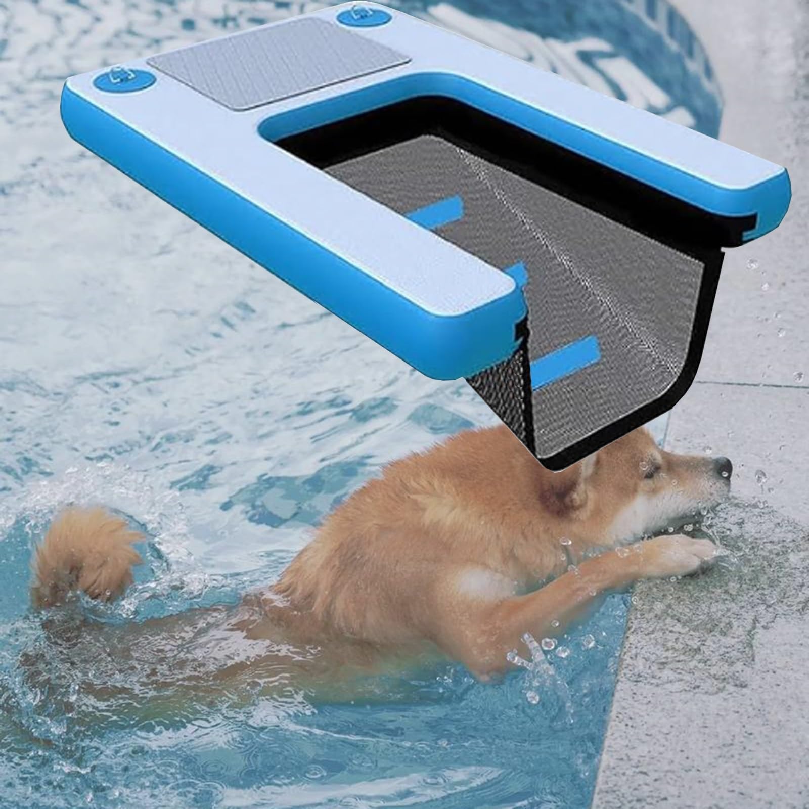 Escalier flottante chien pliable pour remonter sur le bateau