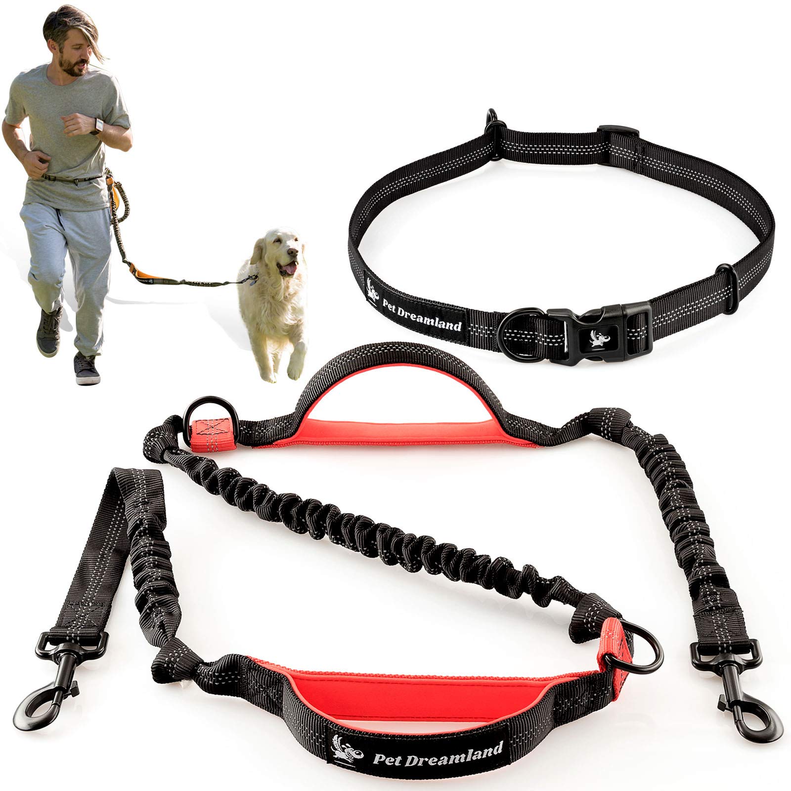 dog jogging leash
