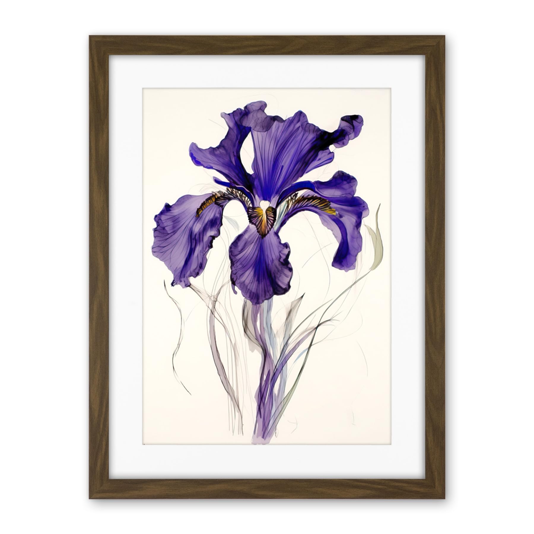Artery8 Iris Reticulata Watercolour Flower Bloom Drawing Artwork Framed Wall Art Print 18X24 Inch