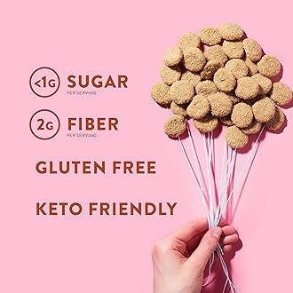 HighKey Sugar Free Cookies Variety 2-Pack - Keto Snack Pack Zero Carb No Sugar Chocolate Chip Cookies + Snickerdoodles Low Carb Snacks Gluten Free Diabetic Snack Dessert Diet Friendly Food Sweets 4oz