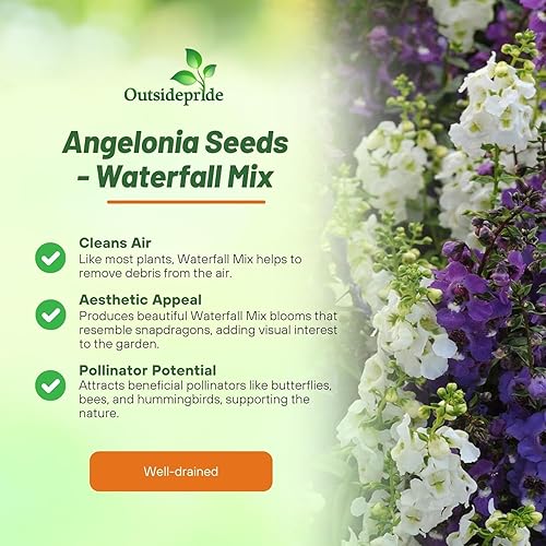 Miniatura 6 de Outsidepride Serena Waterfall Mix Angelonia Snapdragon Seeds para plantar, 15 piezas de semillas de flores perennes, aptas para polinizadores,