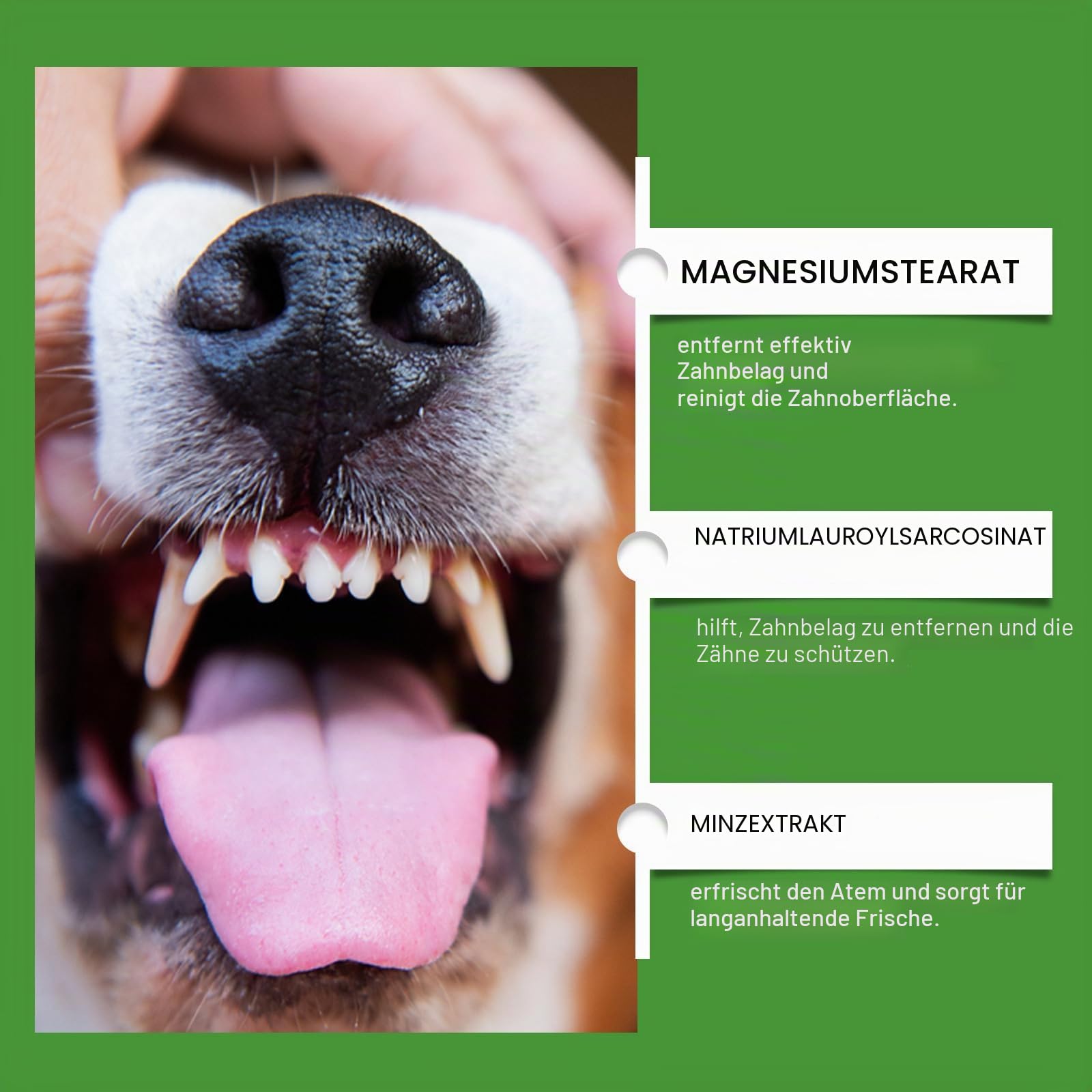 Mydelia - Hundezahn-Pulver Hundezahnpulver – Natürliche, effektive Formel für frischen Atem, sanfte Zahnpflege, tragbares Pulver, sicherer Mix, Hundepflegezubehör