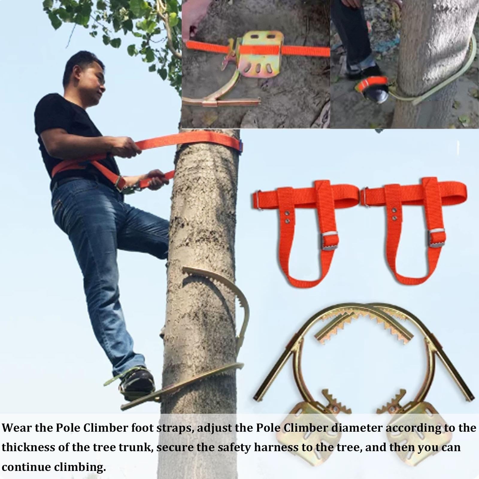 Ramponi antiscivolo per lavori su pali e alberi di cocco