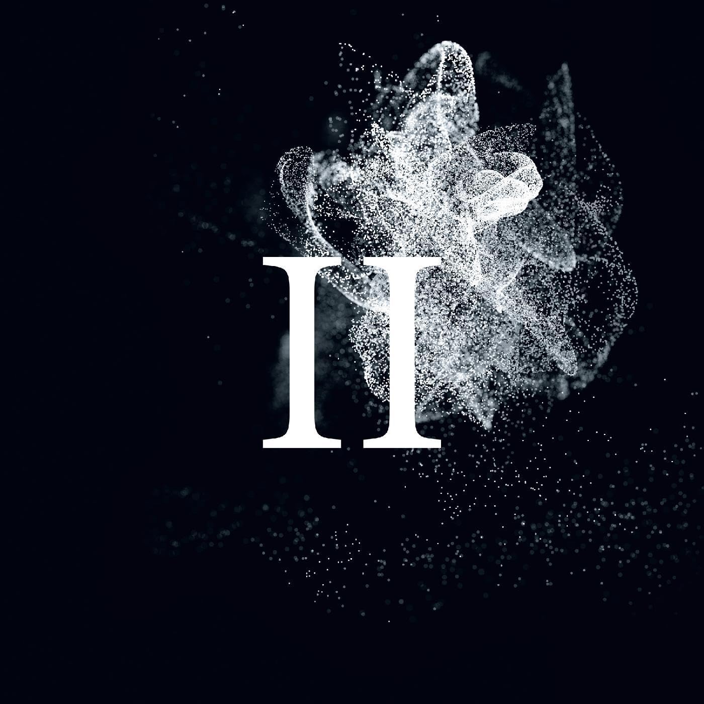 II [ViNYL]