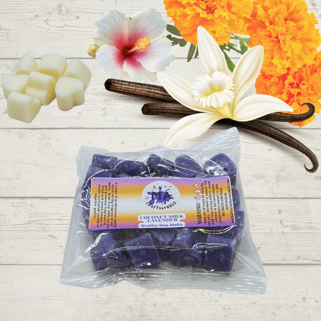 20 x Highly Scented Wax Melts Mini Hearts Handmade, Cruelty Free, Vegan Many fragrances (Coconut Milk)