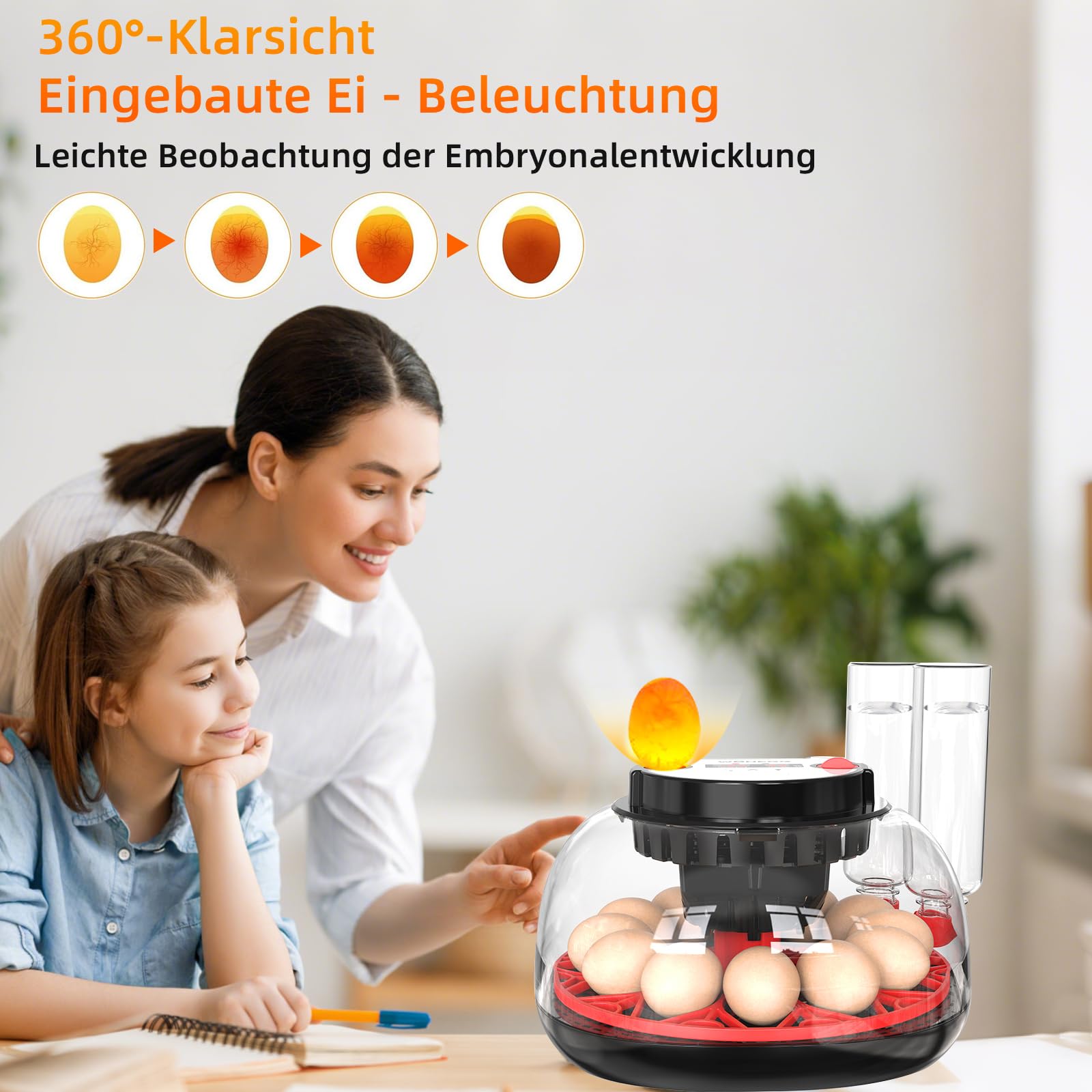 Brutautomat Vollautomatisch für 12 Eier, Digitale Brutmaschine mit Automatischem Eierwender & Feuchtigkeitsregelung, Inkubator Brutkasten mit Schierlampe für Hühner, Wachteln, Enten