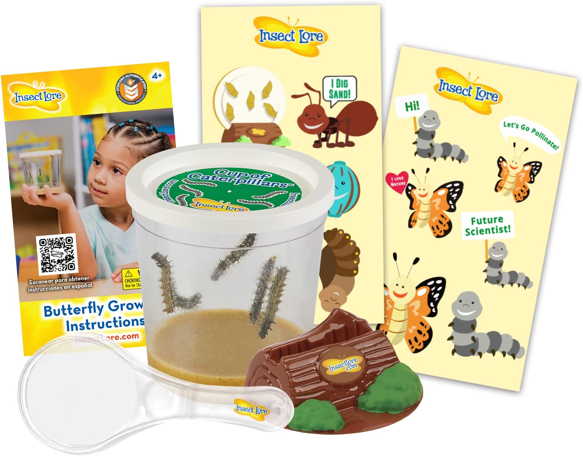 Insect Lore Live Cup of Caterpillars with Dual Lens Magnifier