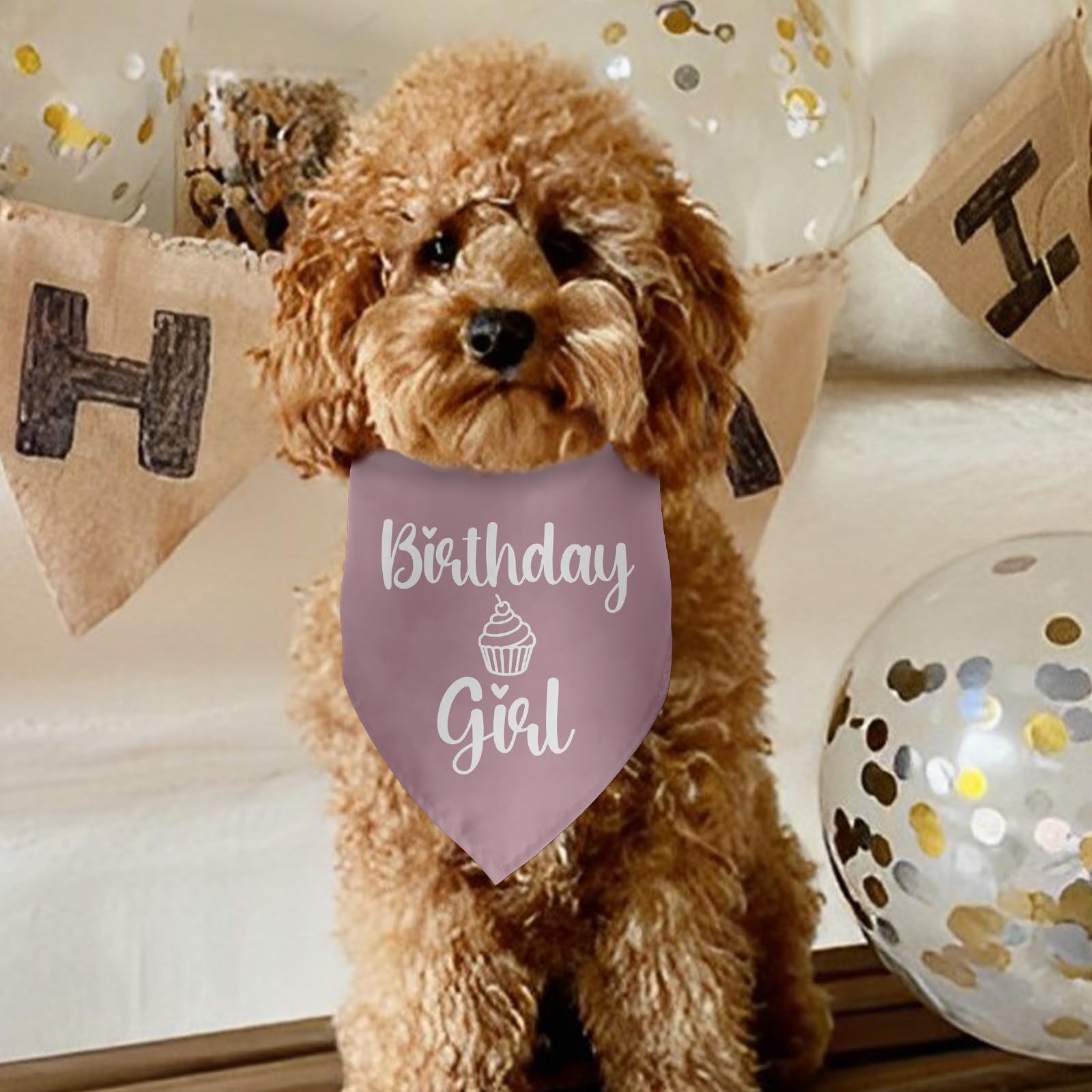 Hundehalsband Geburtstag Für Mädchen – Süßes Donut-Design