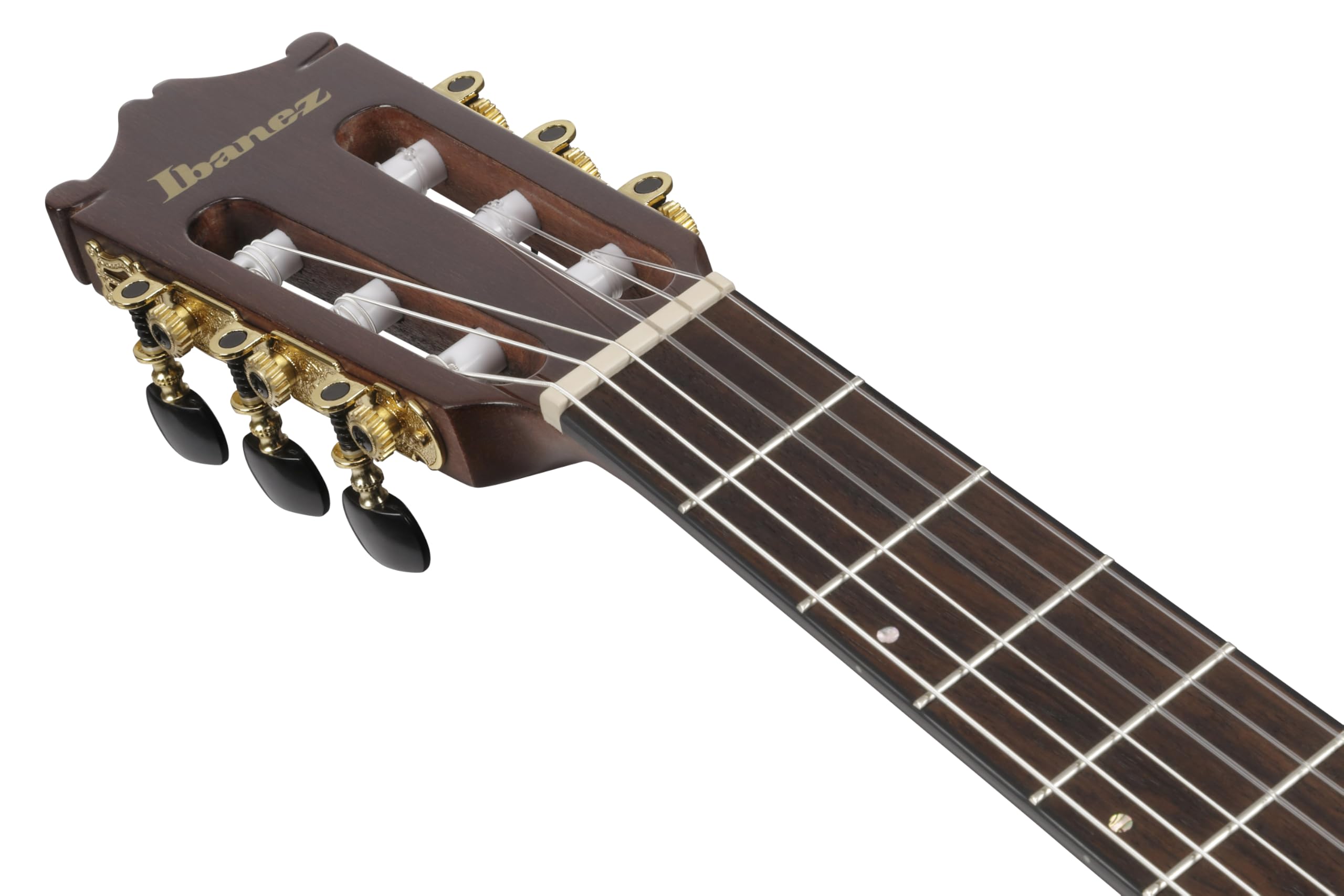 Amazon | Ibanez(アイバニーズ) エレガット Black Night High Gloss