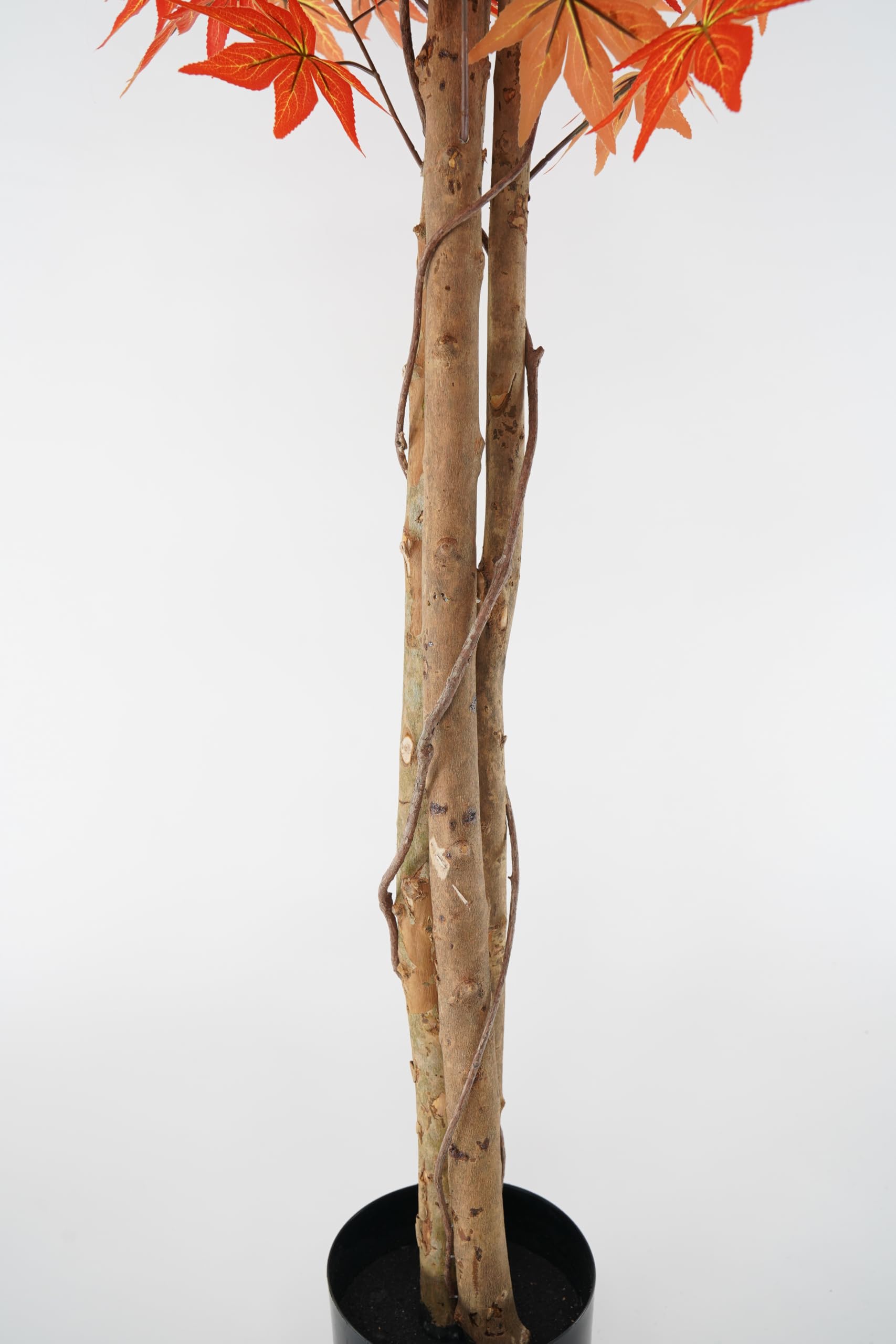 Acero Pianta Sintetica Finta Albero Con Tronco in Legno Naturale e Foglie Poliestere Seta (Fulvia - Acero 180 cm)