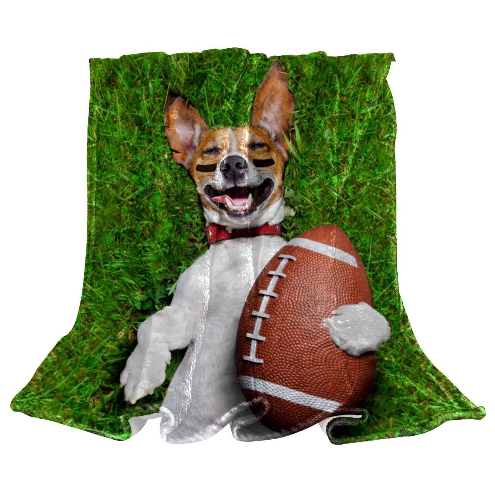 Couverture polaire chien rugby idéale contre les poils sur le divan