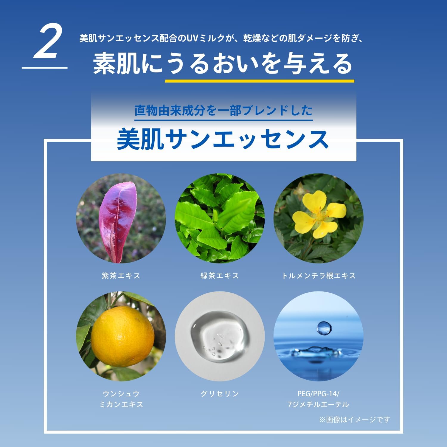 Amazon.co.jp: アネッサ(ANESSA) パーフェクトUV スキンケアジェル NA