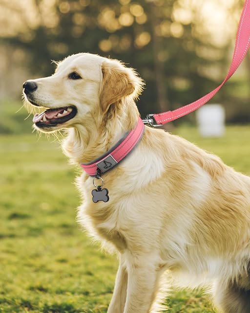 Foto 6 de 7 de Joytale Collar Perro Grande, Resistente y Reflectante, Ajustable de Acolchado Neopreno Nylon, Rosa, L