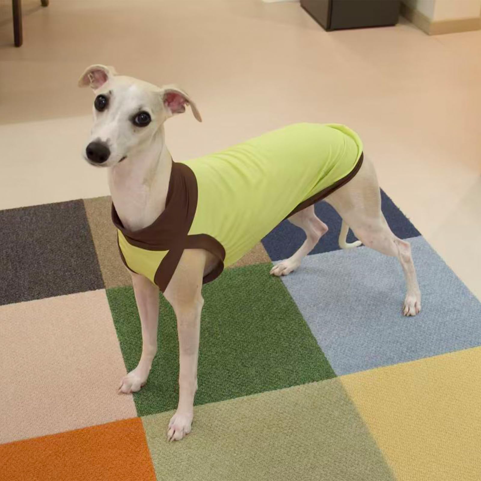 Greyhound Perro Camisa Secado rápido UPF50 + UV Camisa Verano Ligero elástico refrigeración Perro Chaleco Ropa Moda Color Bloque Whippet Camiseta para Perros pequeños y