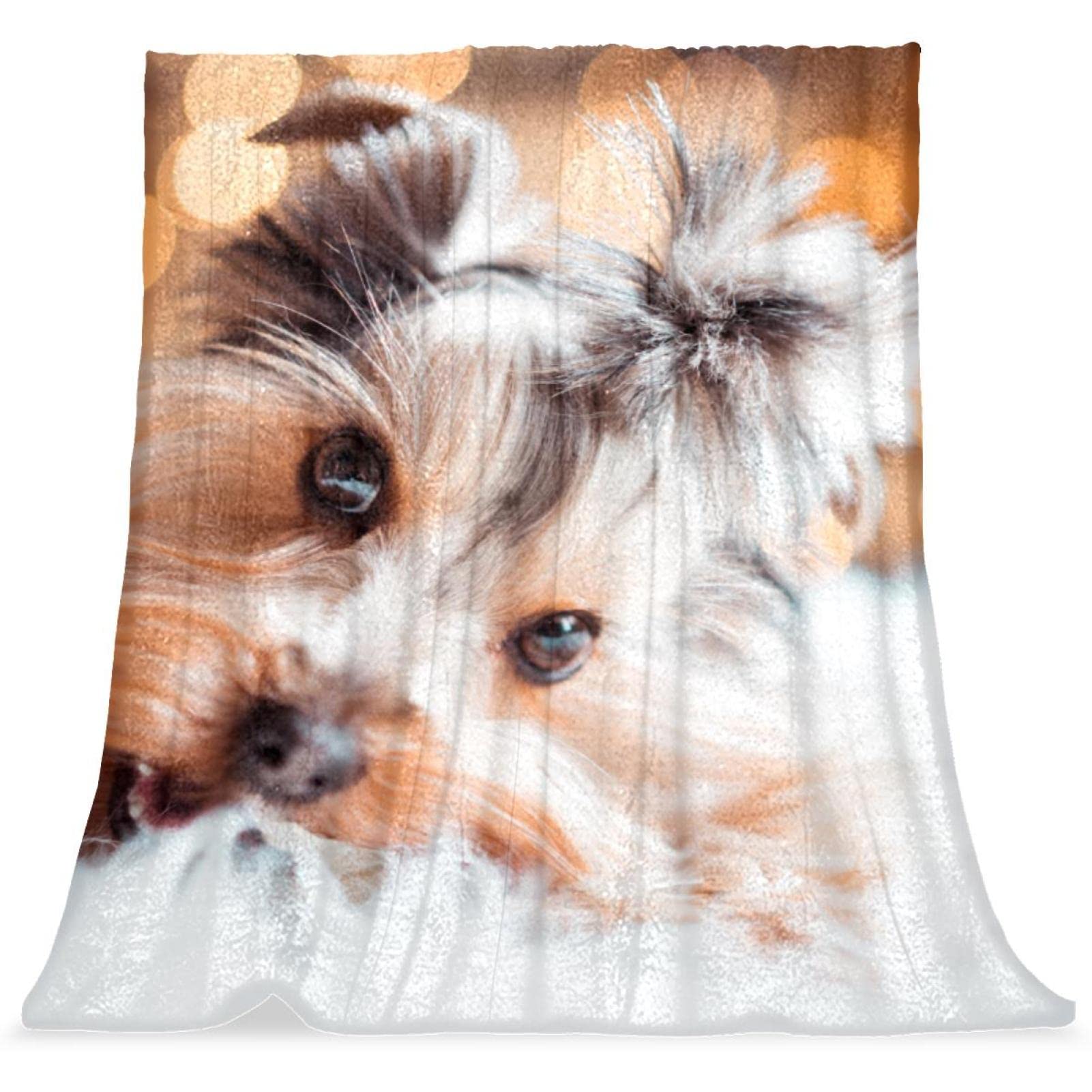 Couvertures en microfibre thermiques pour frissons hivernaux motif chien