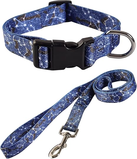 Constellation dog collar Outlet