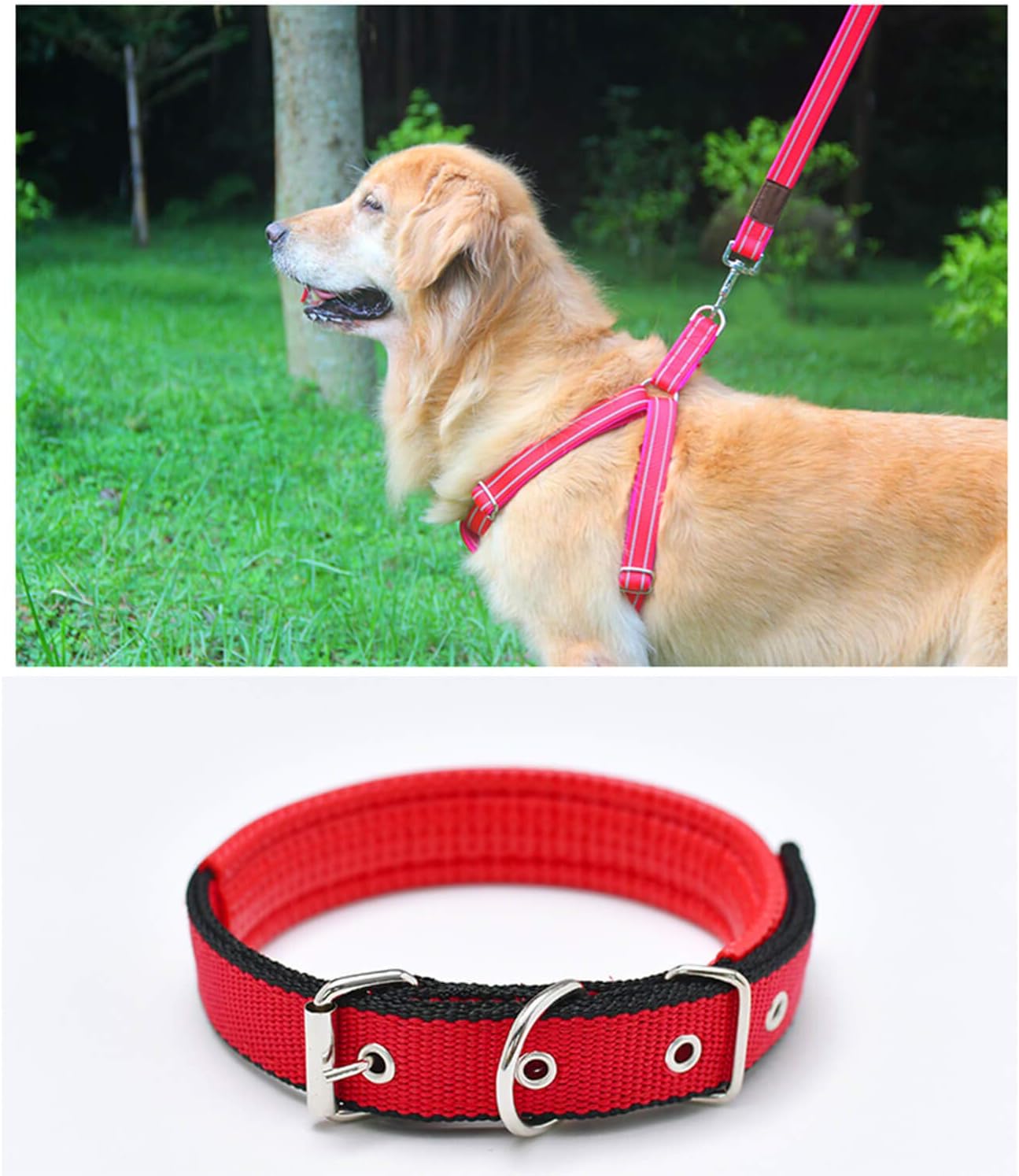 BIKICOCO Metal D-Rings Buckle, 1-1/2 Inch Non-Welded for Webbing Sewing DIY - Black - Pack of 20 - Image 8