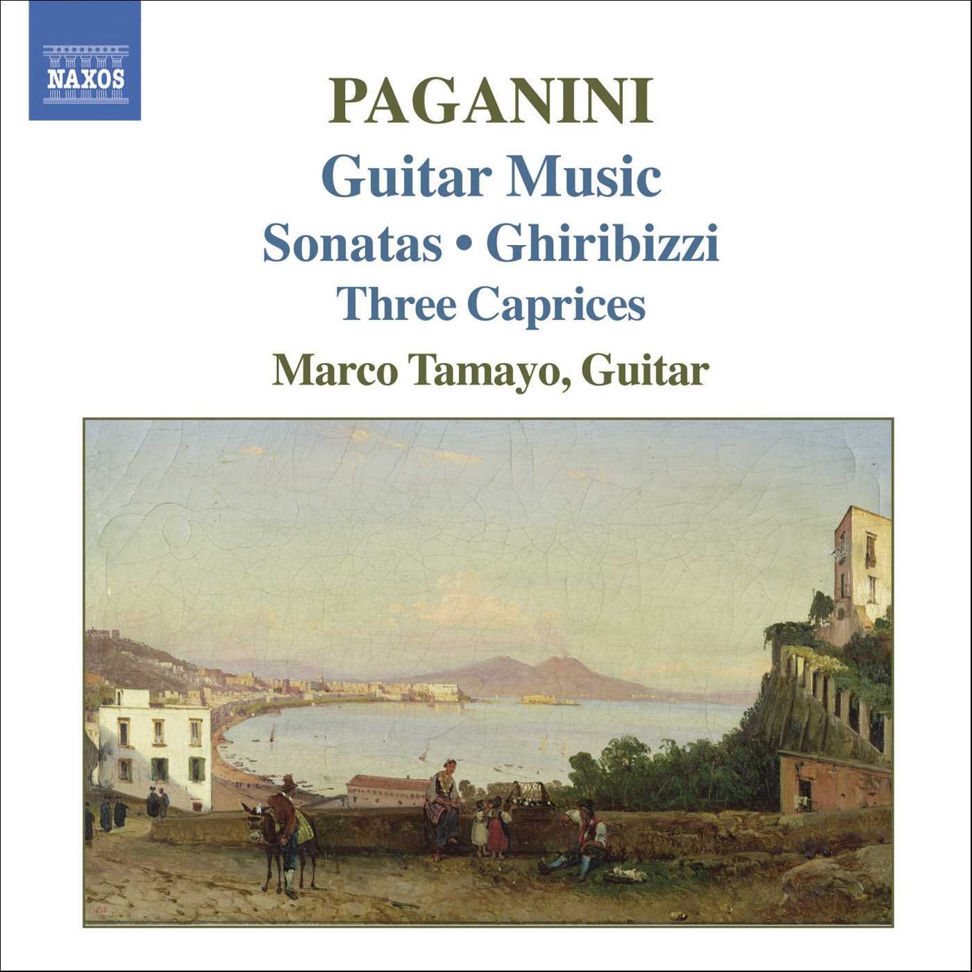 Guitar Music [Audio CD] PAGANINI,NICCOLO