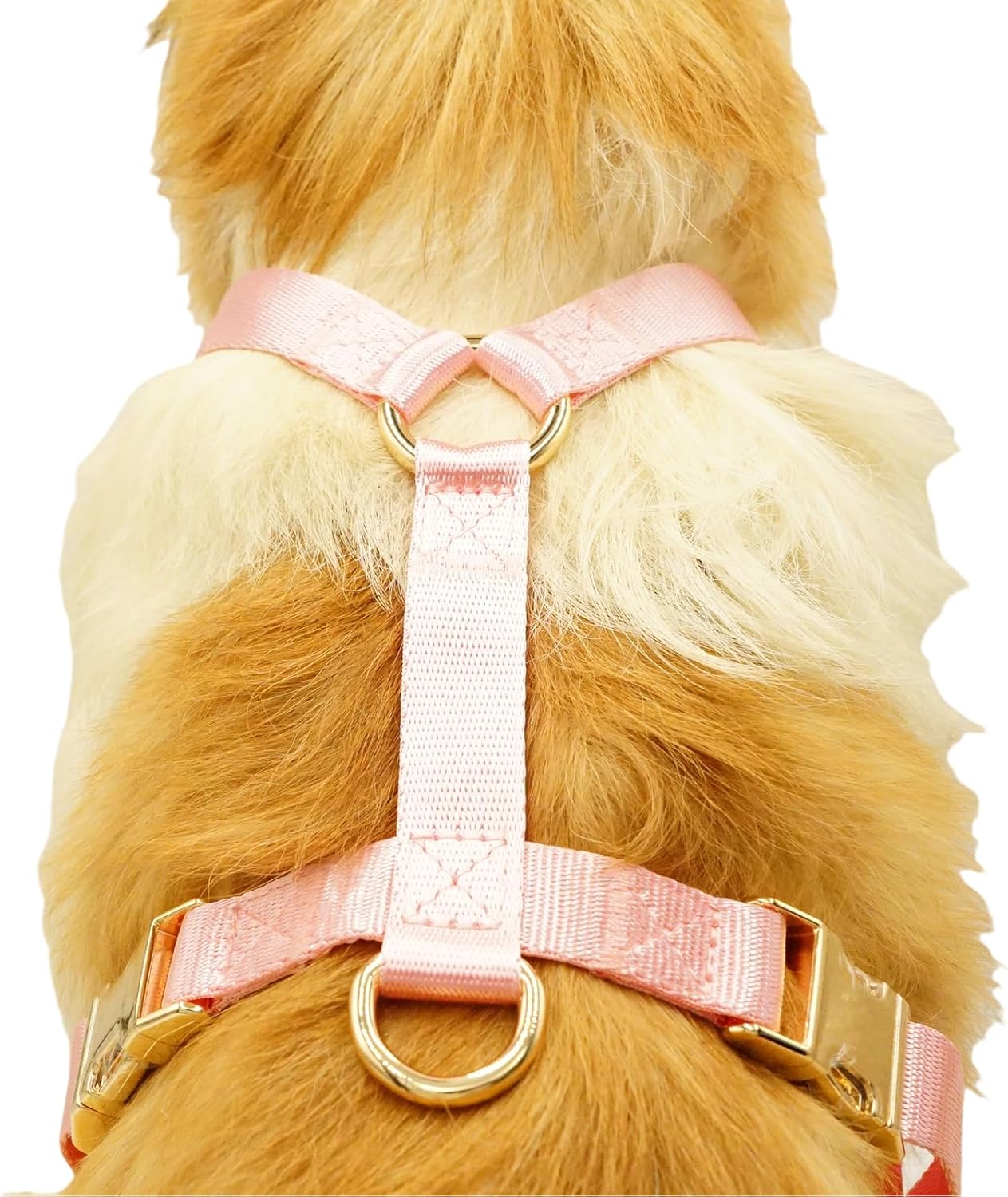 Nylon No Pull Dog Harness with Gold Metal Buckles,Easy Walking and Training Dog Harness (Pink, XS)