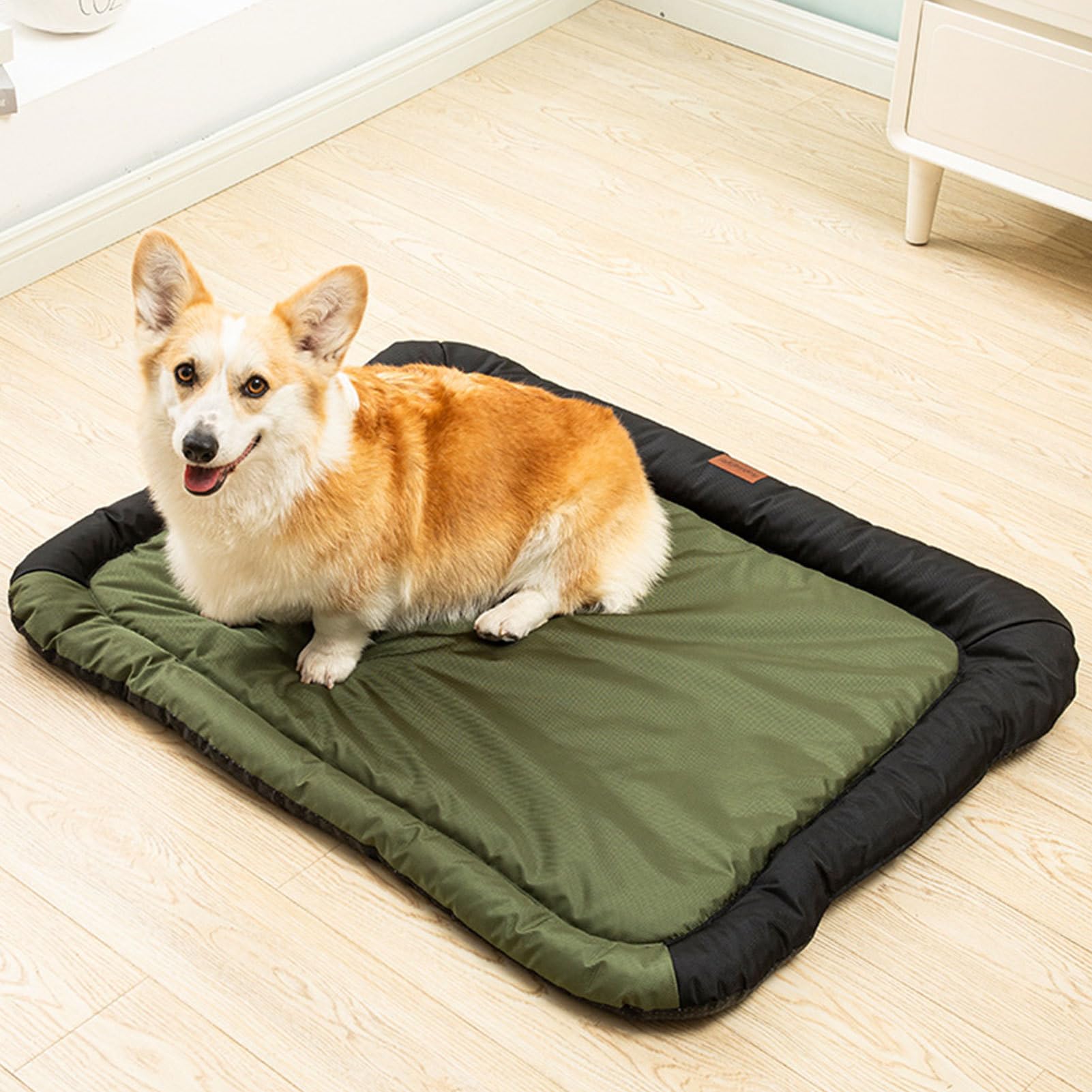 Oxford -Pad, weiche, waschbare Haustierdecke, 55 x 40 x 10 cm, Möbelschutz, Katzenbett für kleine bis große Hunde, die drinnen ruhen, Armgrün, Blau und Grau