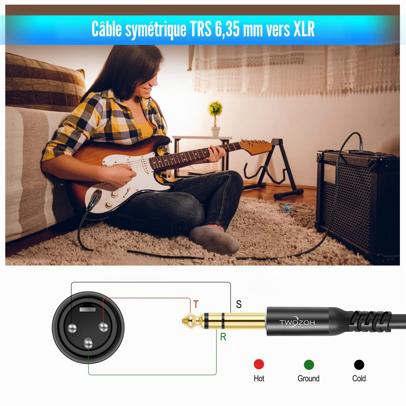 Twozoh Câble XLR Mâle vers TRS 6,35 mm Lot de 2, Cable XLR Jack Stéréo 6.35 mm 2M 2 Pièces (Profesional/Hifi)