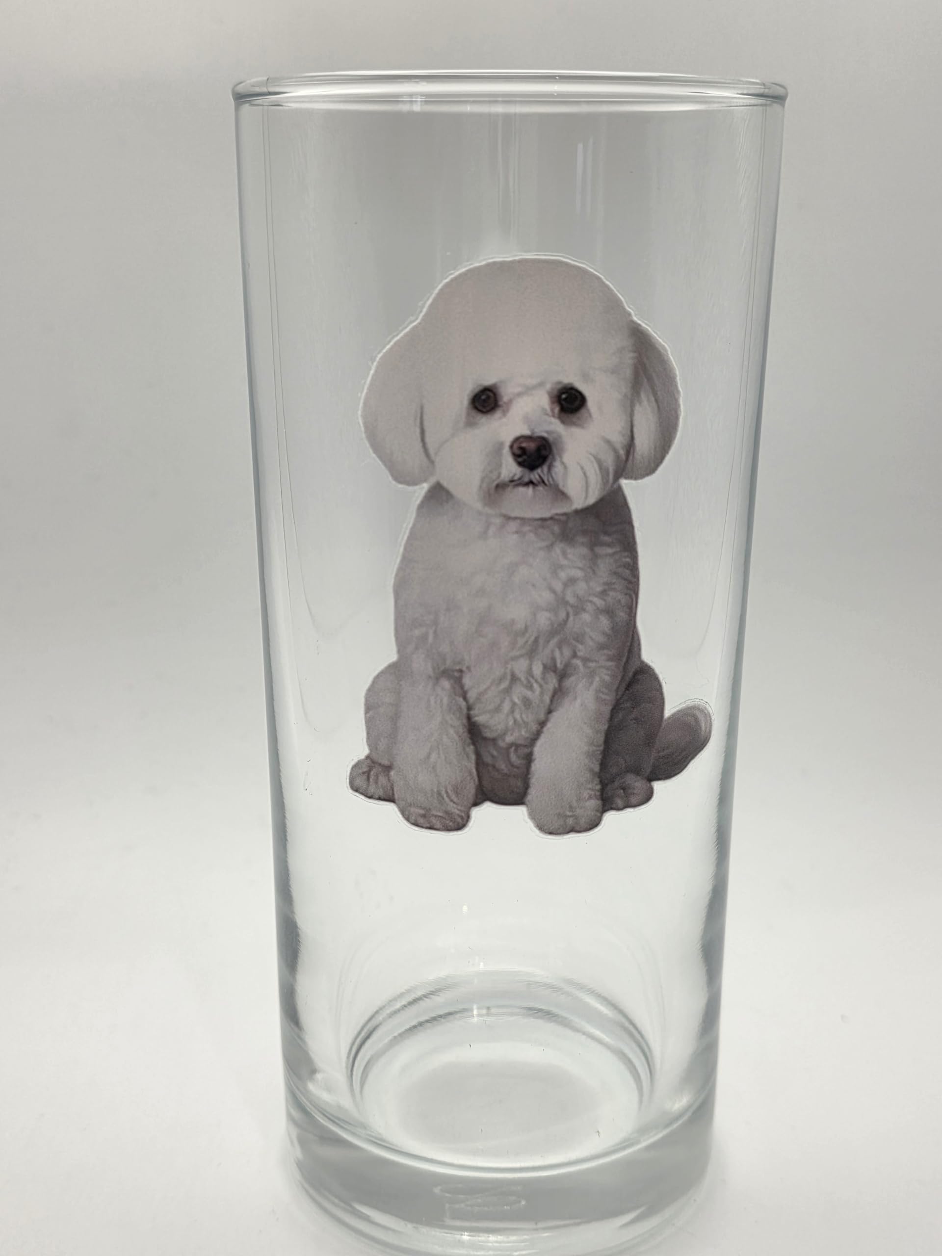 Bichon Frisé Dog Breed Drinking Hiball Glass. Bichon Frisé Gifts