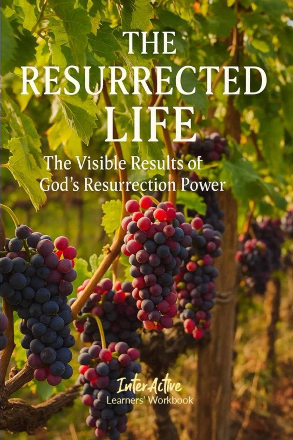 THE RESURRECTED LIFE - The Visible Results of God's Resurrection Power: Interactive Bible Learning - Learners' Workbook