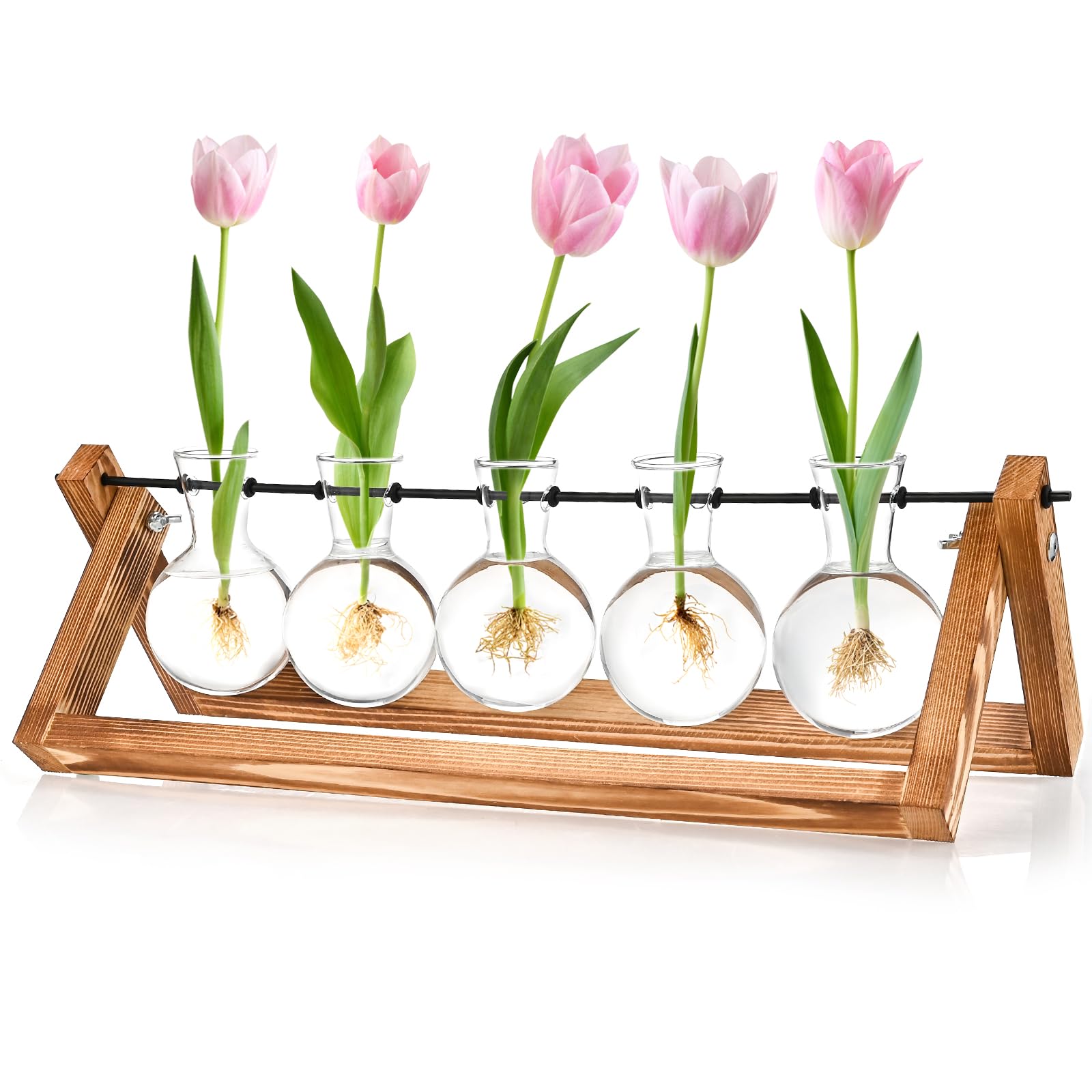 6 Reagenzgläser Mit Holzständer – Blumenvase & Pflanzen-Vermehrungsstation, Transparentes Glas, Inkl. Bürste