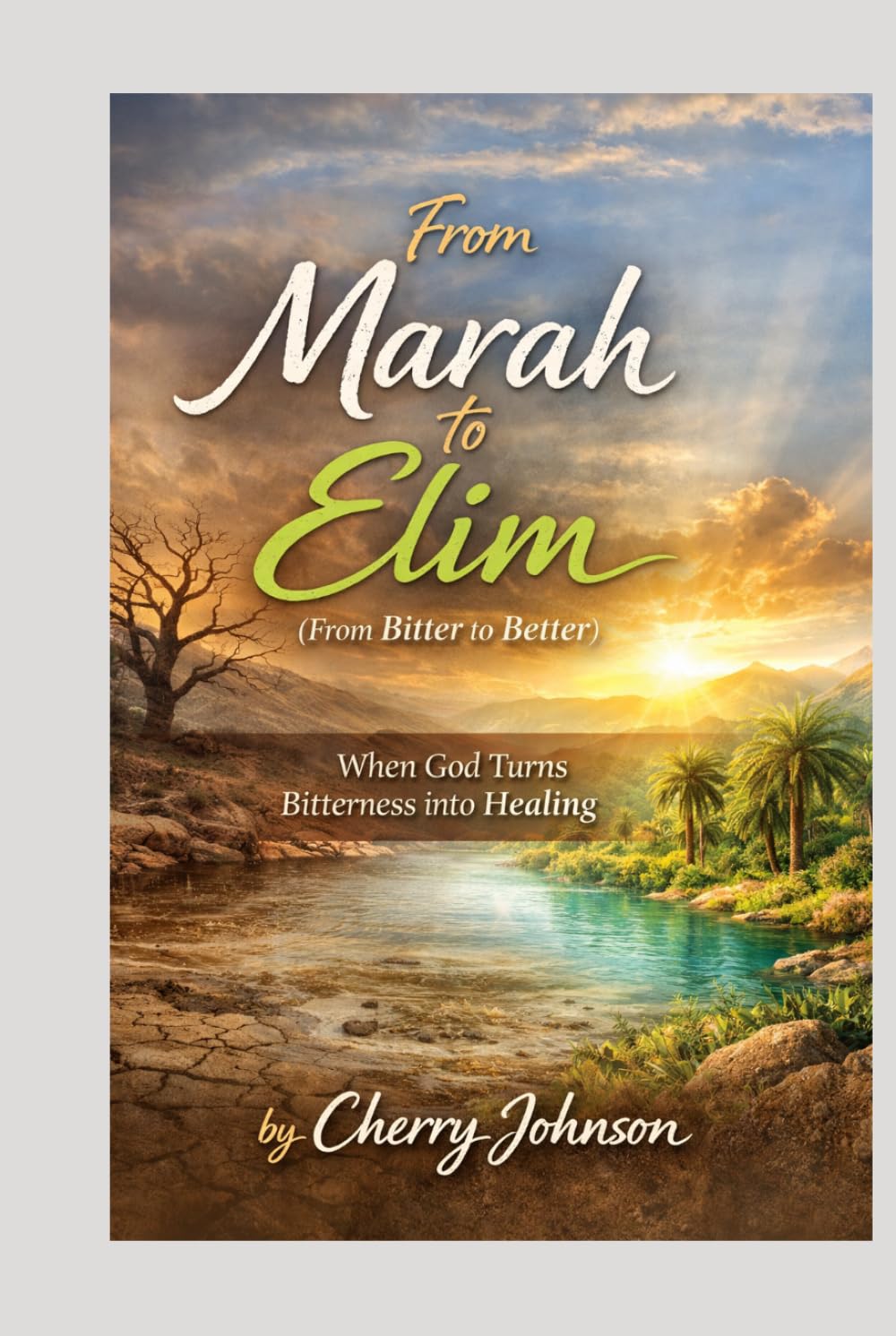 From Marah to Elim (From Bitter to Better) “When God Turns Bitterness into Healing”: “When God Turns Bitterness into Healing”