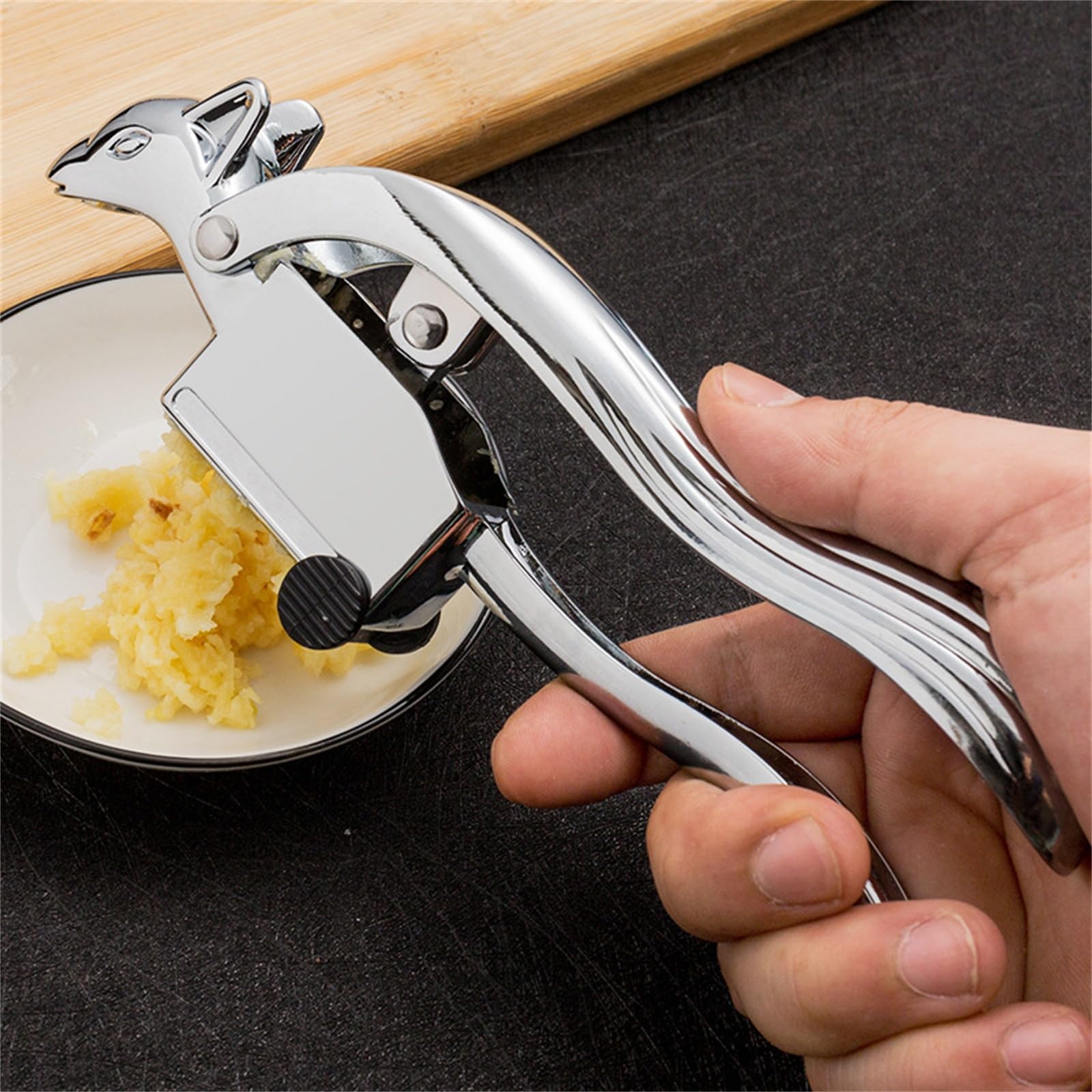 ArinkO Kitchen Knoblauchpresse: Leicht zu reinigender Zerkleinerer und Fleischwolf für Knoblauch und Ingwer