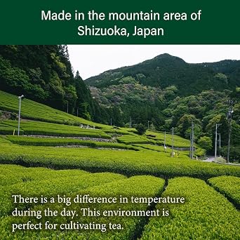 [First Flush] Premium Sencha Green Tea 70g(2.4oz) Shizuoka Japan | Japanese Tea KIMIKURA