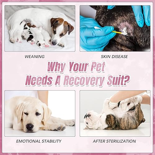 Miniatura 7 de Kuoser Traje de recuperación de cirugía para perros, traje quirúrgico antilamer para mascotas, traje quirúrgico para perros macho, traje de cirugía