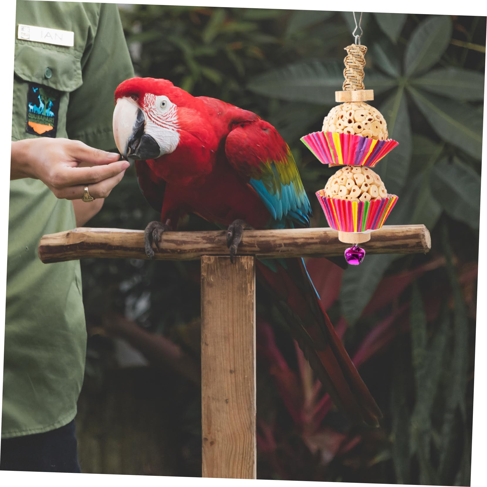 Happyyami Oiseau Jouet Perroquet Perroquets Jouets Suspendus À Mâcher pour Oiseau en Bois s pour Oiseaux Perroquet À Mâcher Suspendu s pour Oiseaux Cage pour