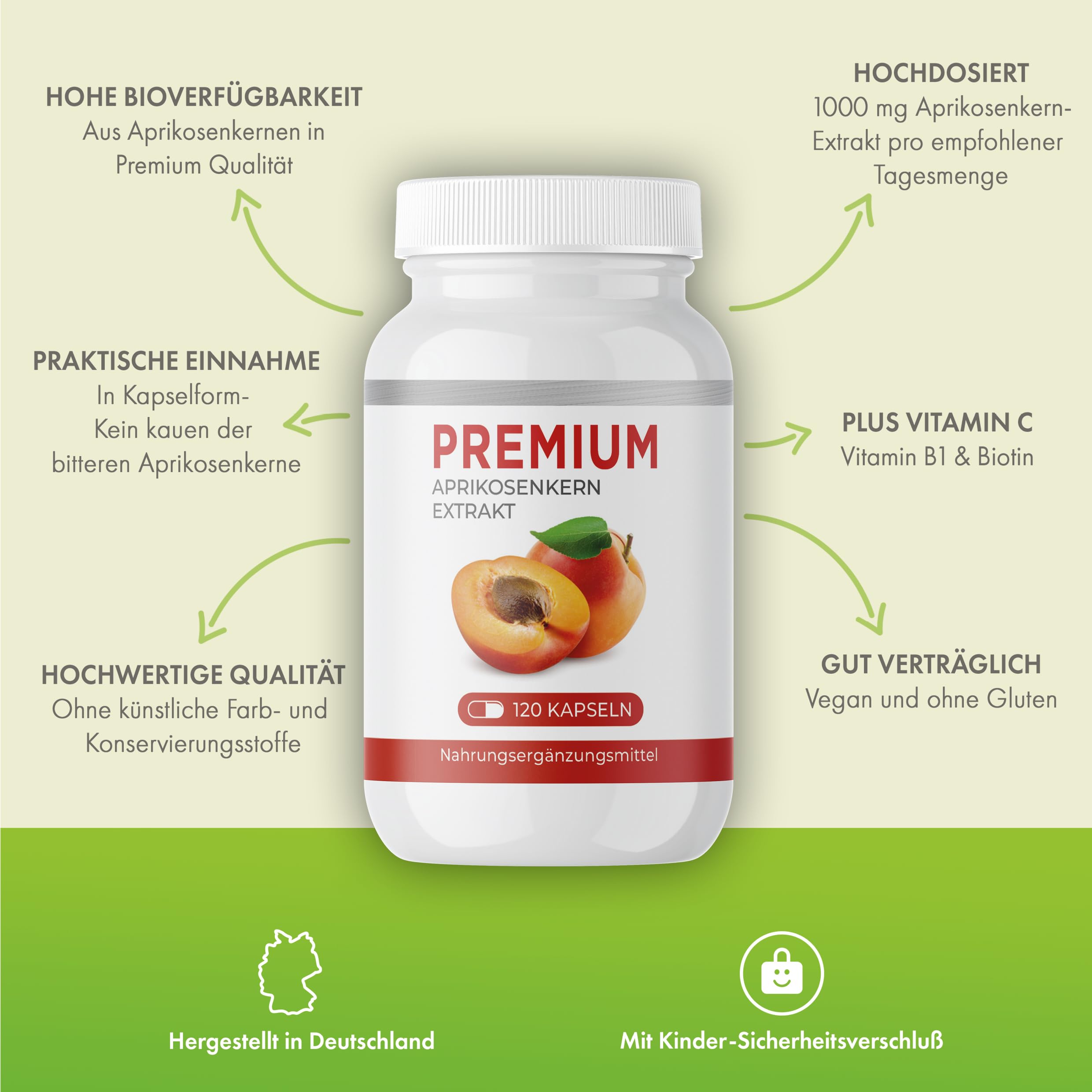 Aprikosenkern Extrakt 1000 mg (120 Kapseln) – Hochdosierter 5:1 Extrakt ohne Bitterstoffe | Mit natürlichem Vitamin C (Acerola) | Laborgeprüft & sicher | Vegan & rein