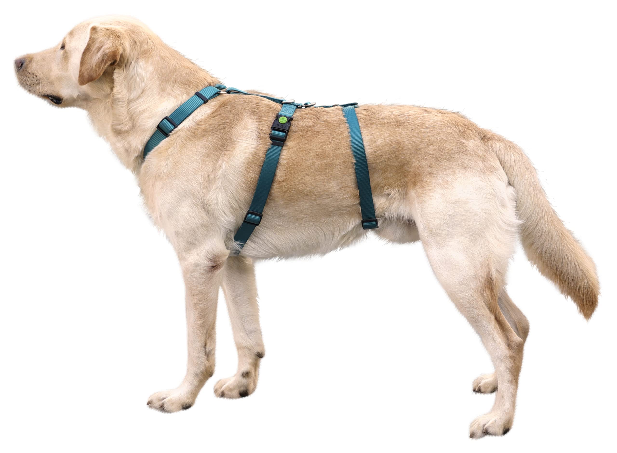 Kerbl Pet Pettorina antipanico, pettorina per cani, petrolio, circonferenza collo 48-64 cm, larghezza cinghia 25 mm, per cani ansiosi, robusta, regolabile