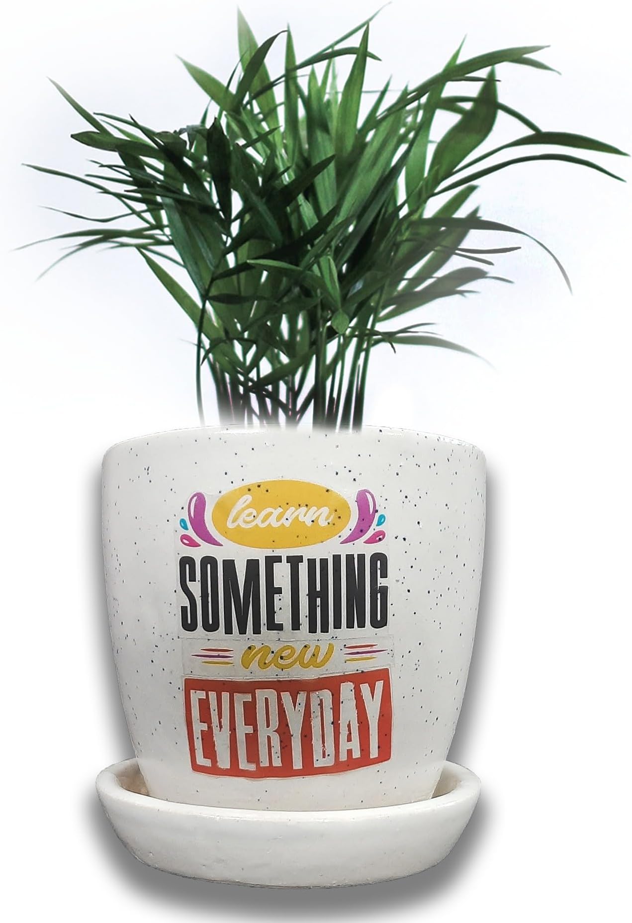 MUMU Ceramic Pot with Quotes for Indoor Plants | Learn Something New Everyday | Plant Container Set