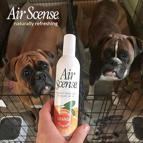 Miniatura 8 de Citra Solv Aire Scense  Paquete especial  Limpiador concentrado y desengrasante  Ambientador de aceites esenciales  Limpiador doméstico sin aerosol