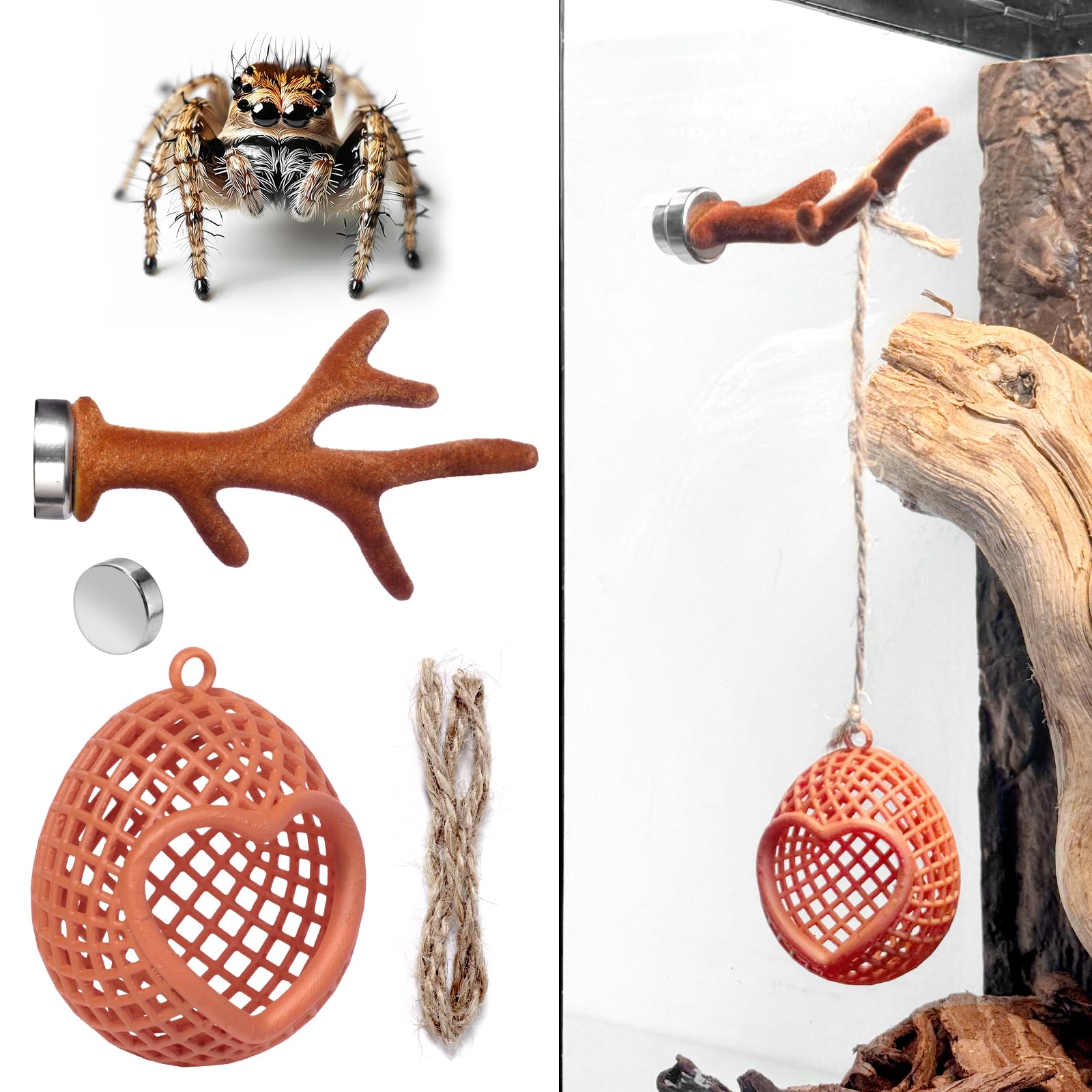 AnoleAir Jumping Spider Hide with Magnetic Antler, 3D Printed Resin Heart Spider Hideout Nest, Brown