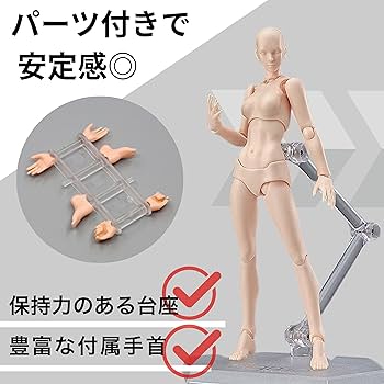 筋肉フィギュア ダンベル付き 約20cm フィギュア専門店 -ソダチトイズ / 予約 玩朝玩具Studio 人体