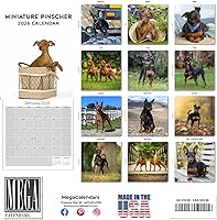 Vista 1290 de Razas de Perros 2017