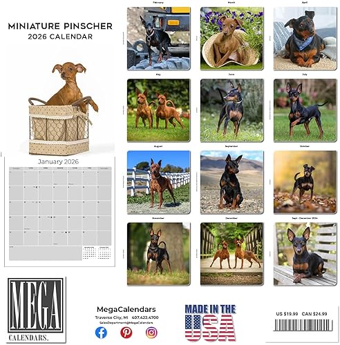 Miniatura 3 de Razas de Perros 2017