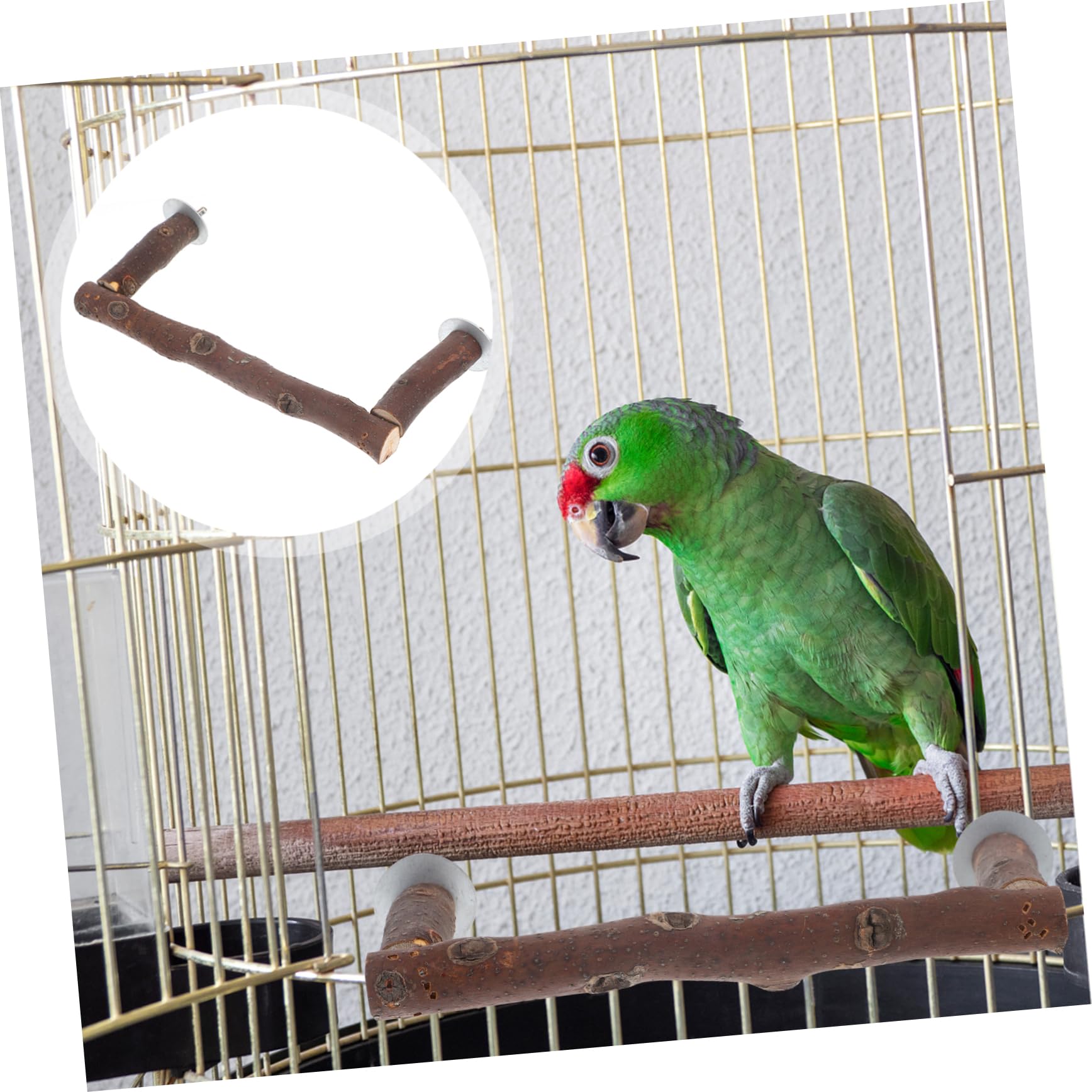 POPETPOP 5pièces Perchoir Naturel pour Oiseaux Support Activité pour Perroquets Et Oiseaux De Compagnie Accessoire De pour Multi-usages
