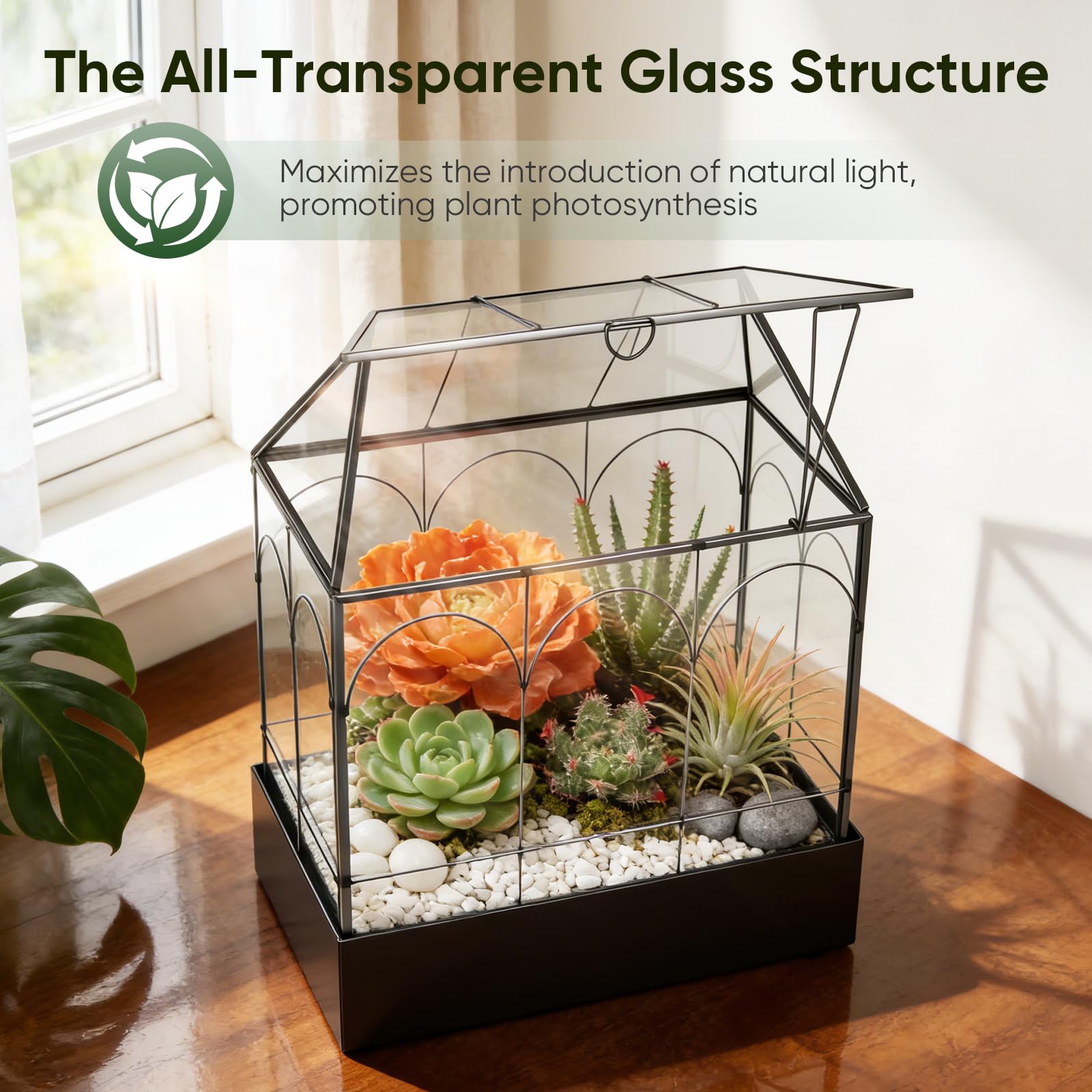 Mini Gewächshaus, 24x14,5x28cm Terrarium mit Aufklappbarem Glasdeckel, Volltransparentem Glas und Bodenwanne,Fensterbank Innen Gewächshaus aus Metallglas für Wohnzimmer und Büro auf der Fensterbank